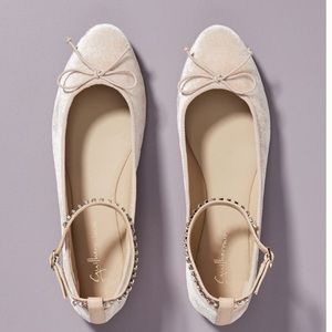 Anthropologie blush flats BNWT and box size 9